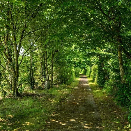 Gorgeous In With Wifi بيت للعطل Hampen